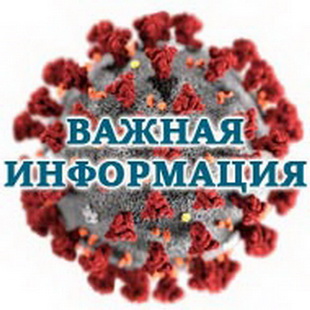 «Горячая линия» для граждан Воронежа и области по вопросам коронавируса