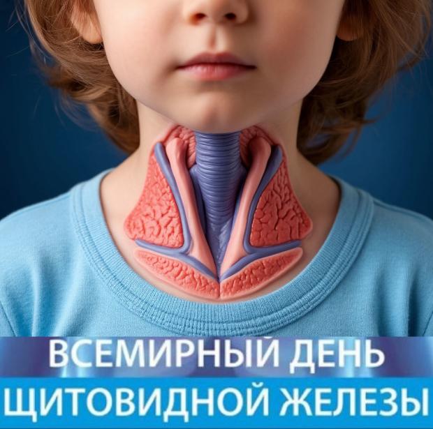 25 мая — Всемирный день щитовидной железы 25 мая — Всемирный день щитовидной железы