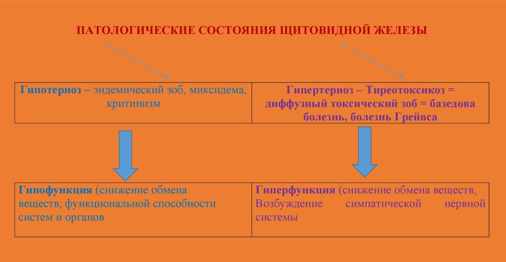 ПАТОЛОГИЧЕСКИЕ СОСТОЯНИЯ ЩИТОВИДНОЙ ЖЕЛЕЗЫ (1).jpg